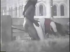 Jasmine Jae ama la sensación de una polla negra gigante en su trasero