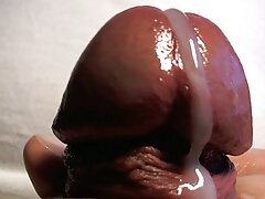 Chica pelirroja está haciendo garganta profunda