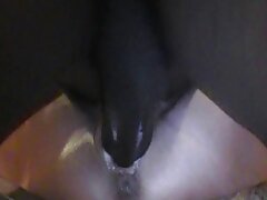 Impresionante nena Alison Avery disfruta de ser follada a cuatro patas