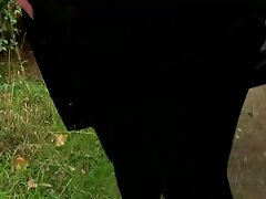 Morena deportiva recibe una intensa follada de coño